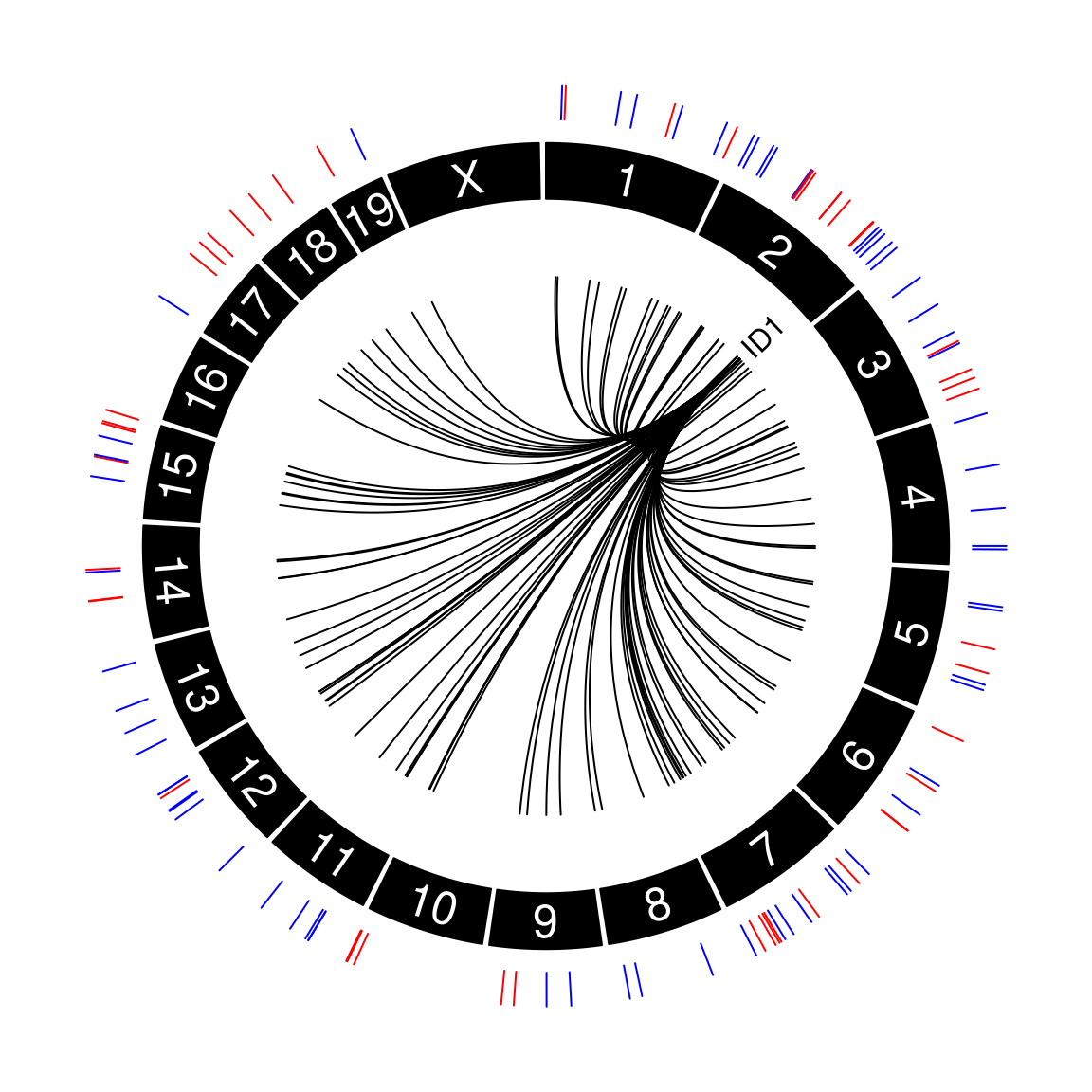 Figure 3A: ID1 protein abundance shows high correlation to many chromatin regions across the genome. Circos plot showing ATAC-seq peaks where chromatin accessibility is positively (red) and negatively (blue) correlated with ID1 protein abundance (n = 112, abs(correlation) >0.5).